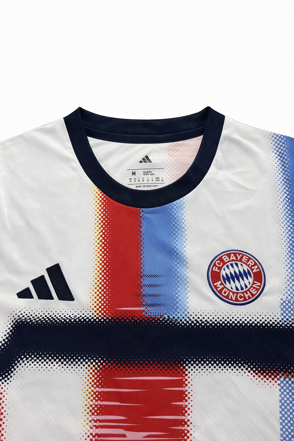 🌈 Bayern Munich Pre-Match Multicolor 2024/25 Fan Version